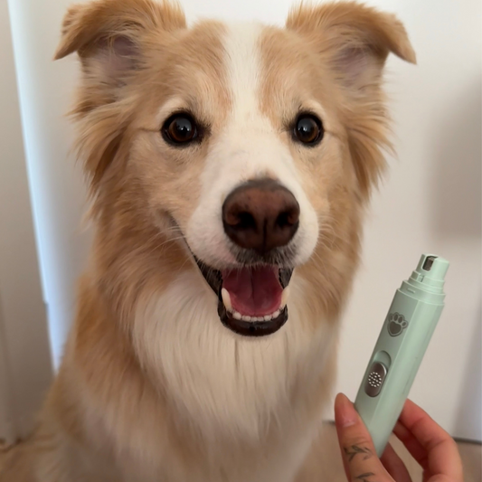 PawPeace Nail Grinder™